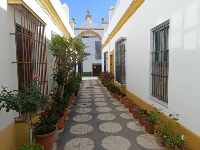 Ground-floor 2-bed bungalow with garden and pool in Aguas Nuevas, Torrevieja — 3