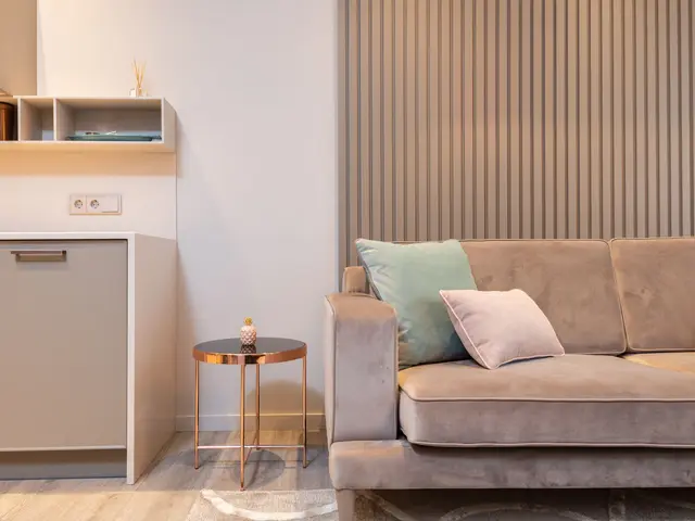 Furnished 2-bed apartment for long-term rent steps from Playa del Cura — 2