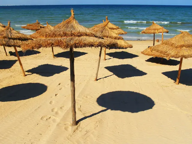 2-bed, 2-bath apartment with sea views 150 m from La Mata beach — 5