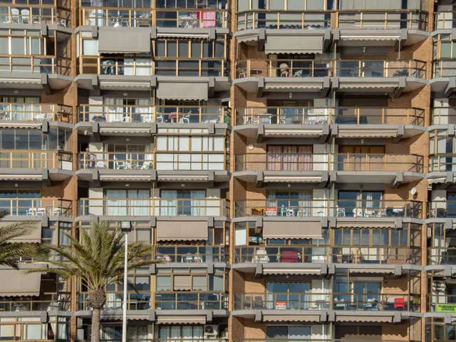 Piso amueblado de 2 dormitorios en alquiler anual cerca del paseo de La Mata — 2