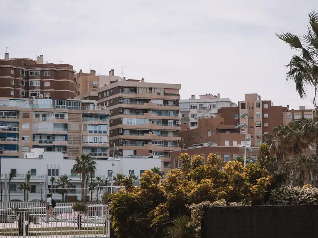 Piso amueblado de 2 dormitorios en alquiler anual cerca del paseo de La Mata — 5