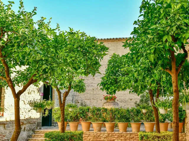 2-bed ground-floor bungalow with private garden near Playa Flamenca market — 2