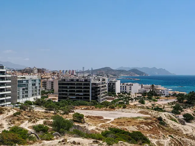 2-bed apartment to rent long term, walk to Zenia Boulevard and Playa Flamenca — 5