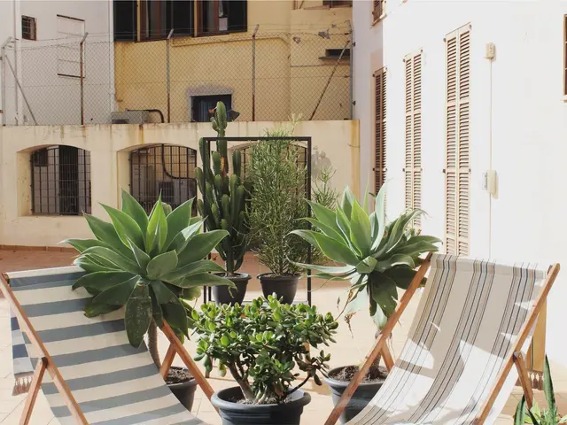 3-bed townhouse with garden and solarium 600 m from Mil Palmeras beach — 4
