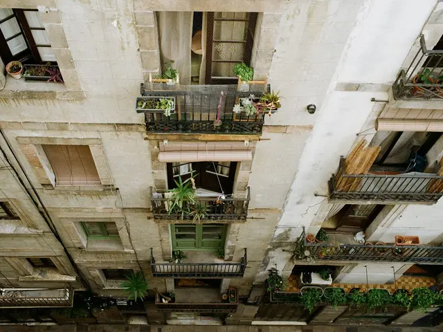 2-bed apartment overlooking the pine forest by Parque Reina Sofía, Guardamar — 4
