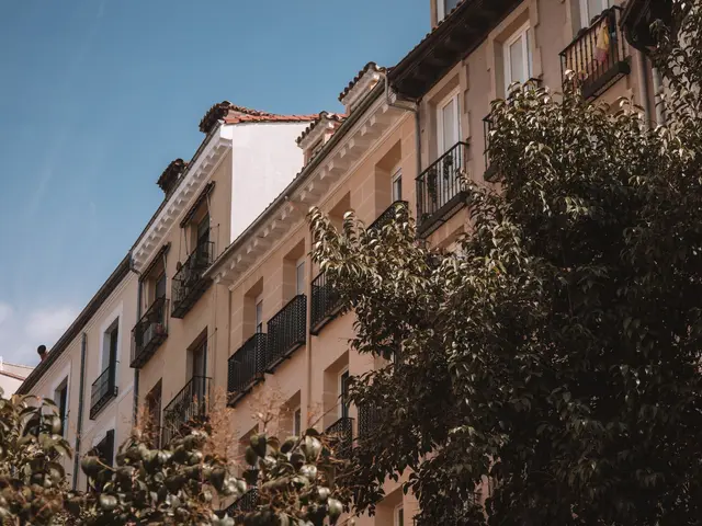 2-bed apartment overlooking the pine forest by Parque Reina Sofía, Guardamar — 5