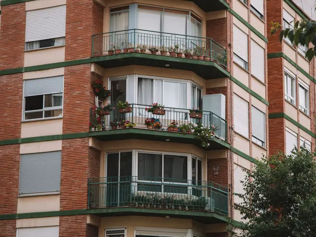 2-bed village apartment with views over the salt lakes in San Miguel de Salinas — 4